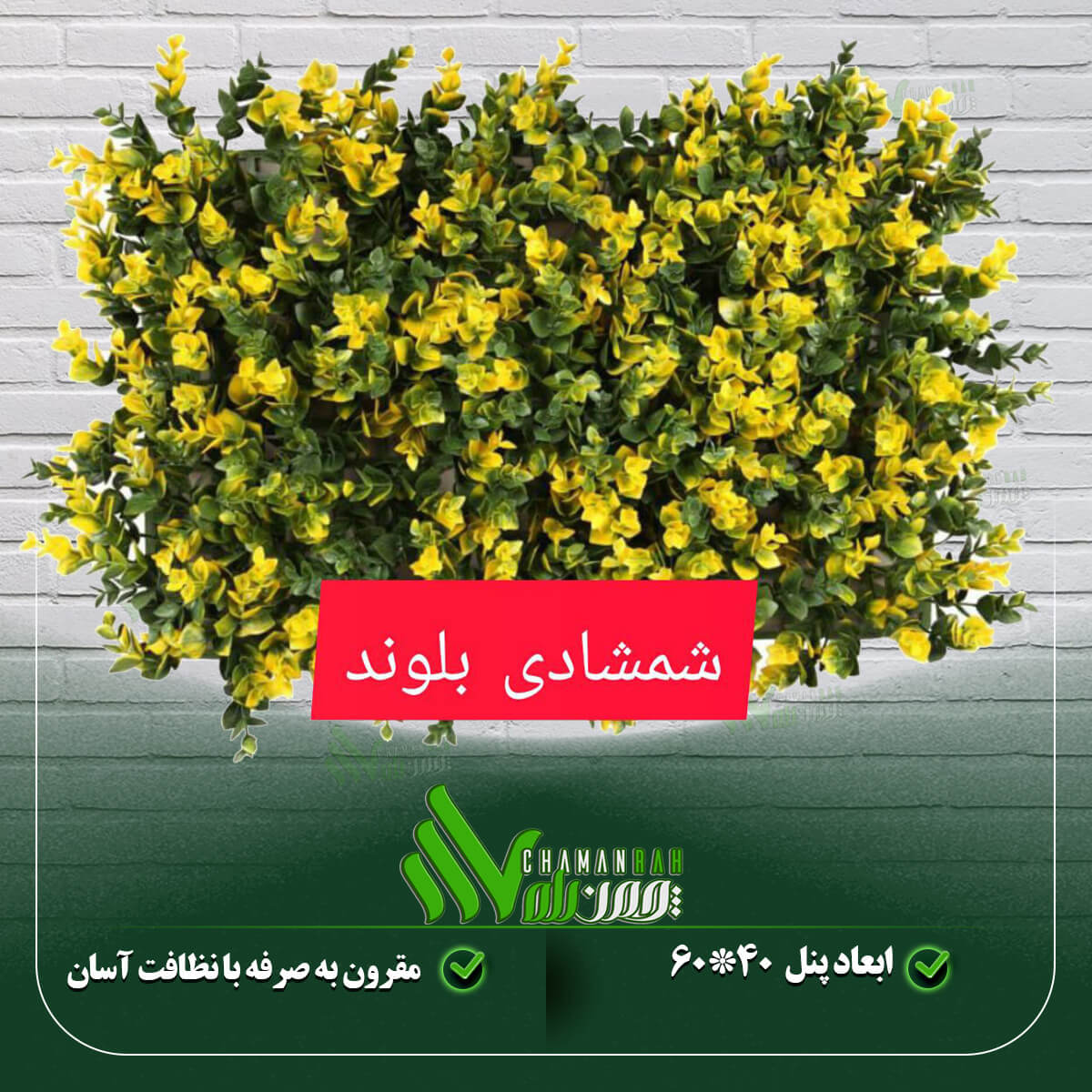 گرین وال شمشادی طرح بلوند