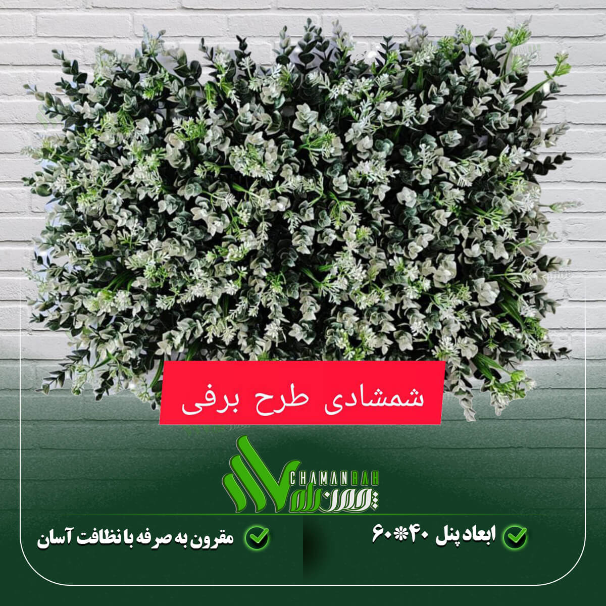 گرین وال شمشادی طرح برفی