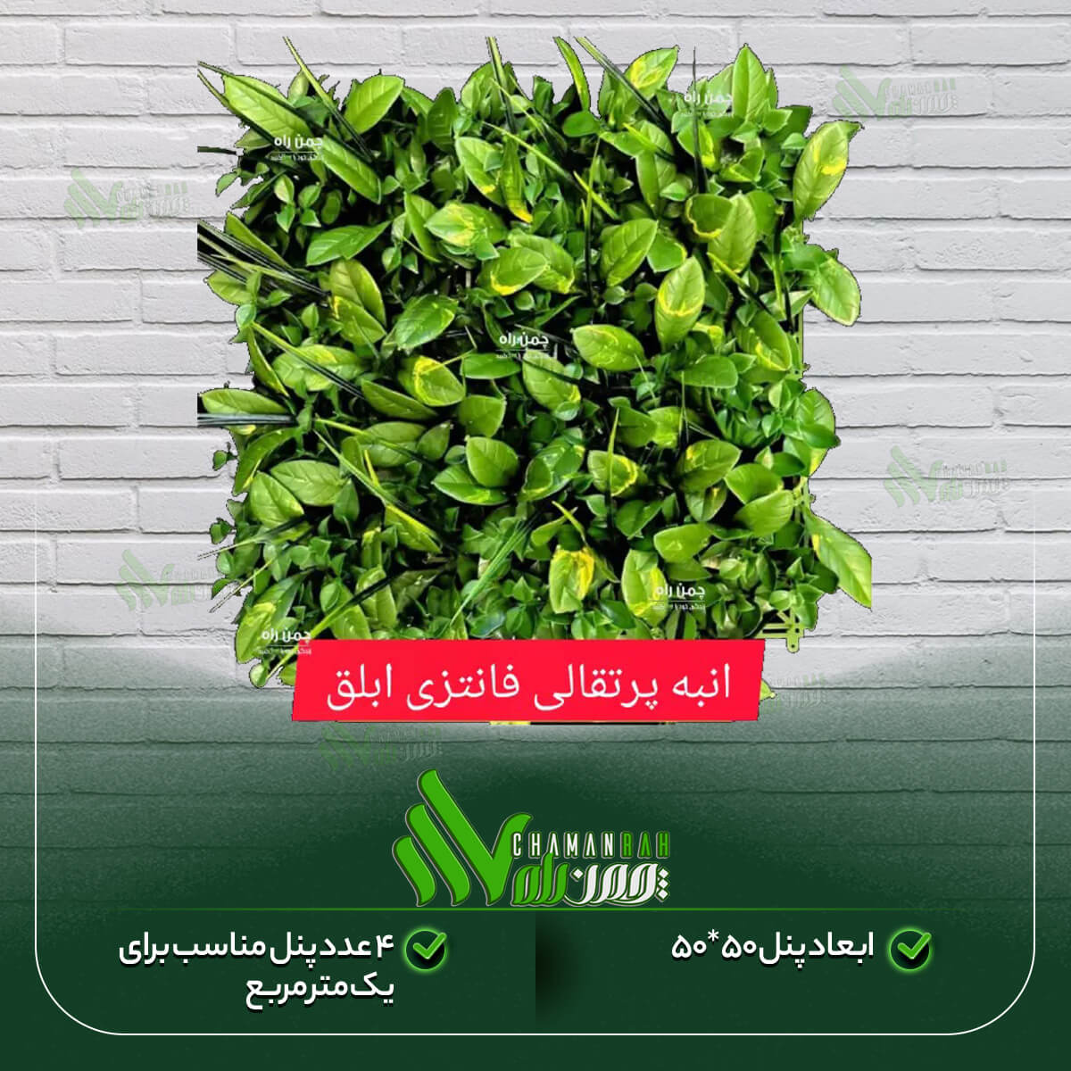گرین وال انبه پرتقالی فانتزی ابلق