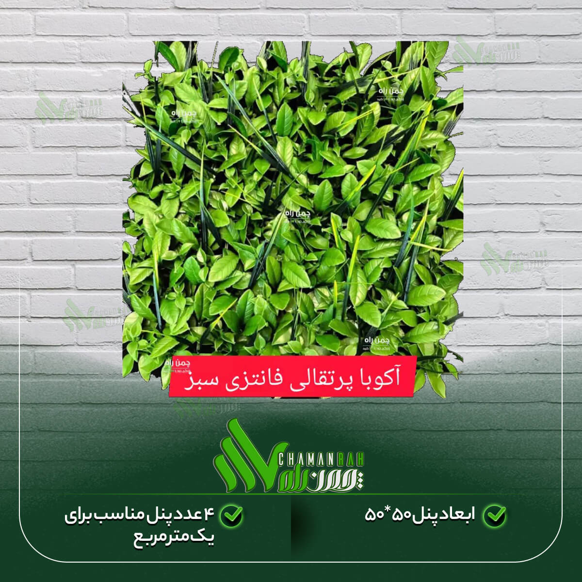 گرین وال آکوبا پرتقالی فانتزی سبز