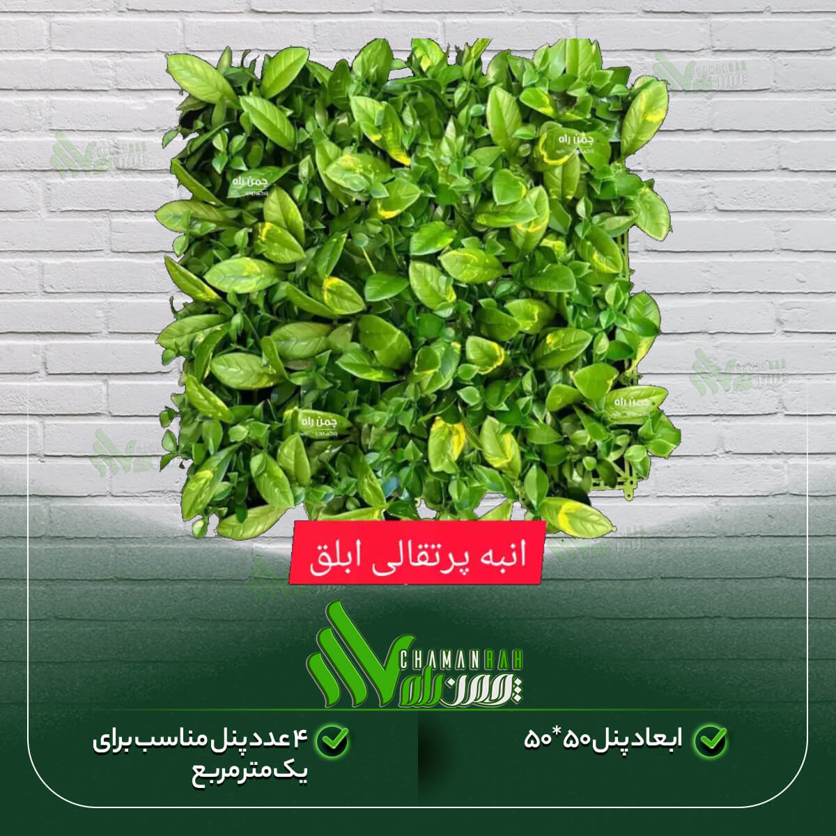 گرین وال انبه پرتقالی ابلق