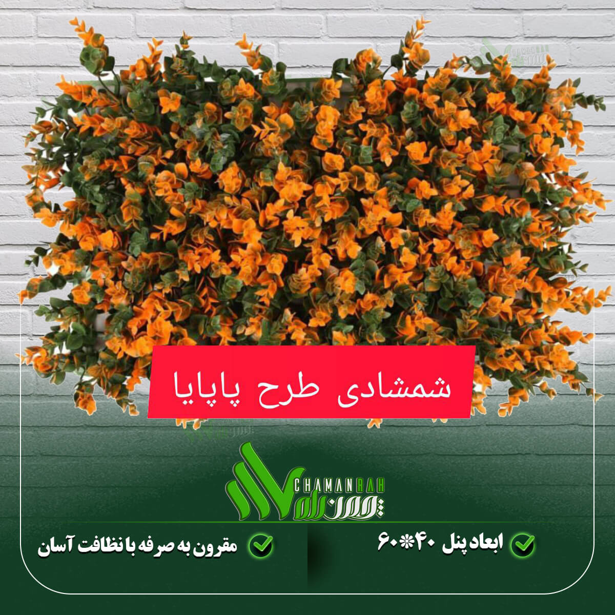 گرین وال شمشادی طرح پاپایا