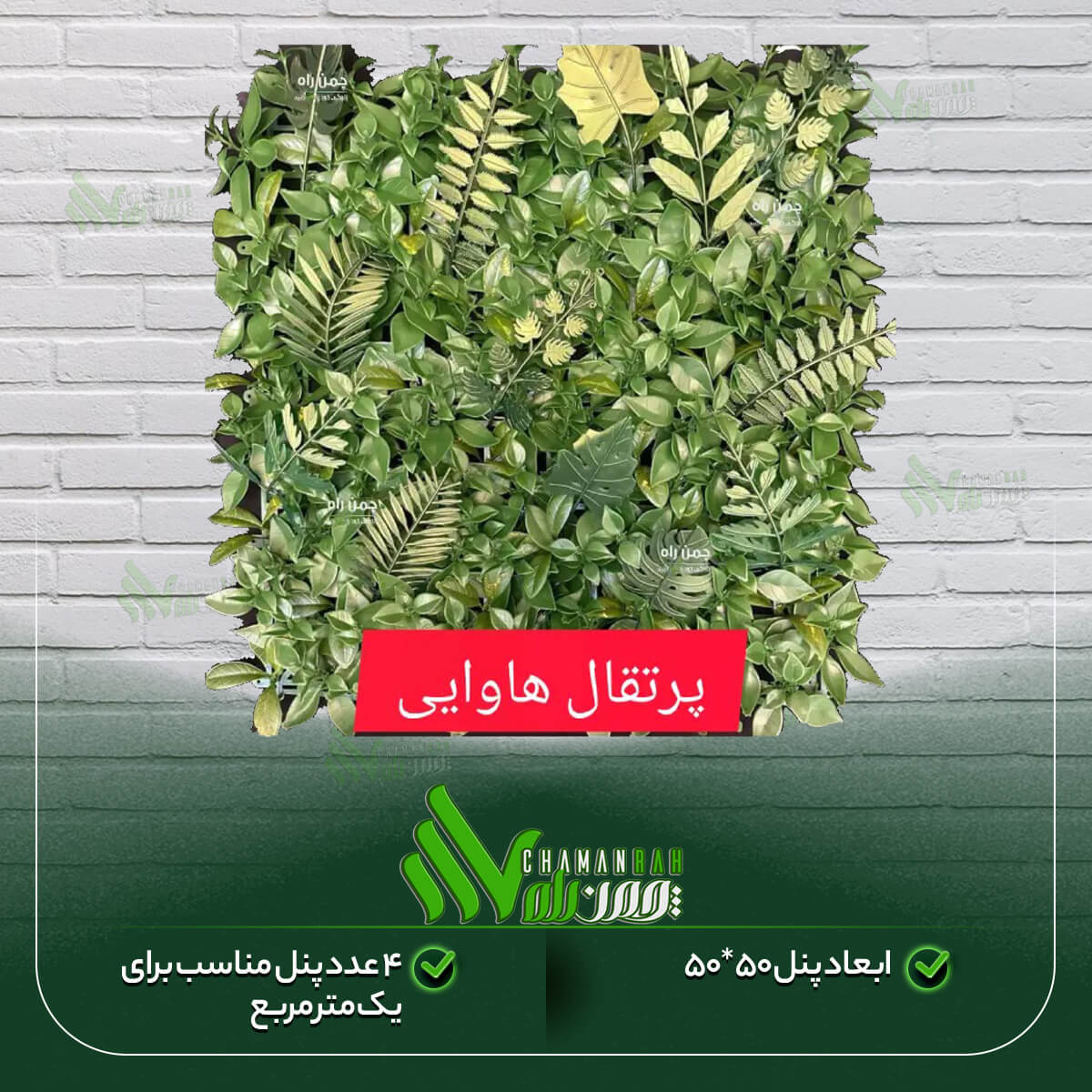 گرین وال پرتقال هاوایی