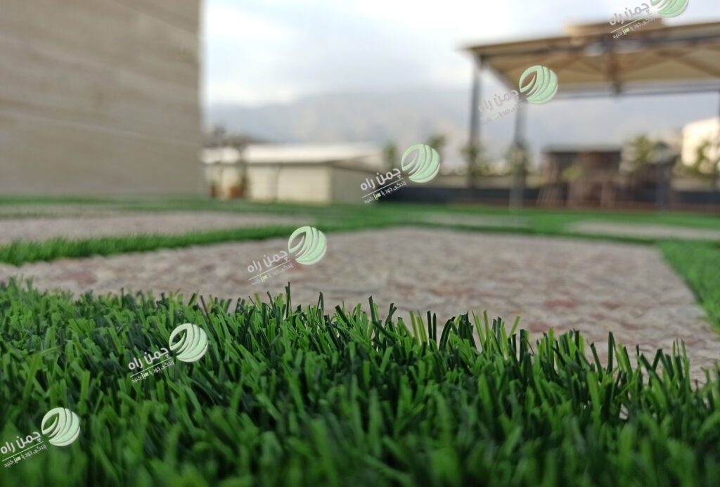 گالری تصاویر